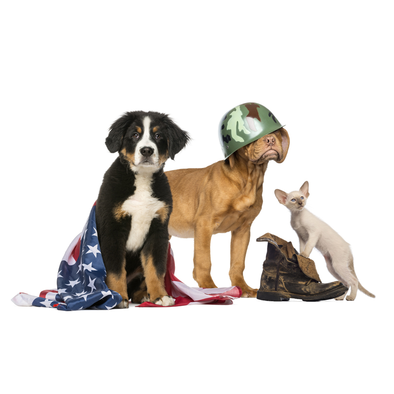 Pets For Vets –
No Buddy Left Behind